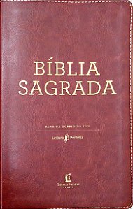 Livro Bíblia Sagrada Autor Diversos (2020) [usado]