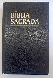 Livro Bíblia de Almeida Autor Vários Autores (1995) [usado]