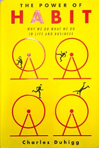 Livro The Power Of Habit: Why We do What We do In Life And Business Autor Duhigg, Charles (2012) [usado]