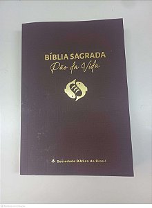 Livro Biblia Sagrada Pão da Vida Autor Desconhecido (2023) [usado]