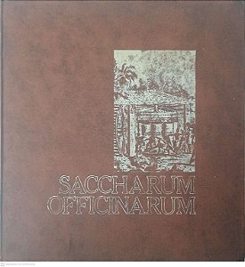 Livro Saccharum Officinarum Autor Desconhecido [usado]
