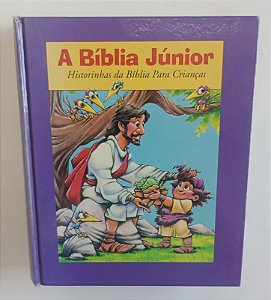 Livro a Bíblia Júnior Autor Rikkers, Doris (1995) [usado]