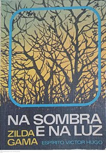 Livro na Sombra e na Luz Autor Gama, Zilda (1985) [usado]