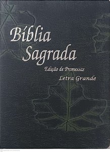 Livro Biblia Sagrada Edição de Promessas - Letra Grande Autor Varios Autores [usado]