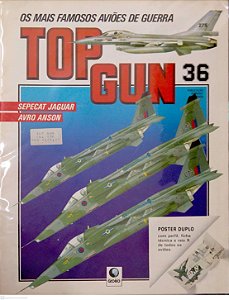 Revista Top Gun #36 - os Mais Famosos Aviões de Guerra Autor (1991) [usado]