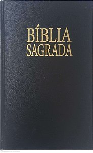 Livro Biblia Sagrada Autor Varios Autores (2000) [usado]