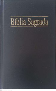 Livro Biblia Sagrada Autor Desconhecido (1999) [usado]