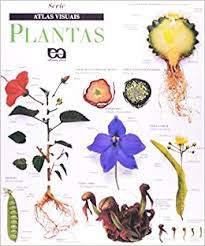 Livro Plantas Série Atlas Visuais Autor Desconhecido (1994) [usado]