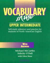 Livro Vocabulary In Use Autor Mccarthy, Michael [usado]