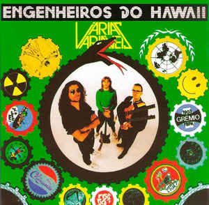 Disco de Vinil Engenheiros do Hawaii - Várias Variáveis Interprete Engenheiros do Hawaii (1991) [usado]