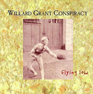 Cd Willard Grant Conspiracy - Flying Low Interprete Willard Grant Conspiracy (1998) [usado]