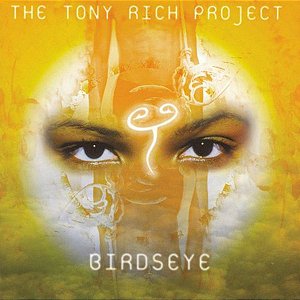 Cd The Tony Rich Project - Birdseye Interprete The Tony Rich Project (1998) [usado]