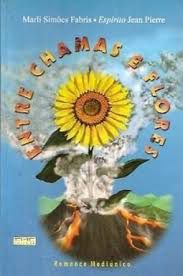 Livro entre Chamas e Flores Autor Fabris, Marli Simões (2000) [usado]