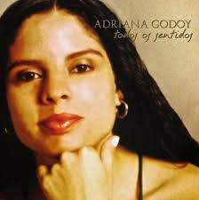 Cd Adriana Godoy - Todos os Sentidos Interprete Adriana Godoy [usado]