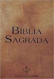 Livro Bíblia Sagrada- Tradução da Cnbb Autor Vários Colaboradores [usado]