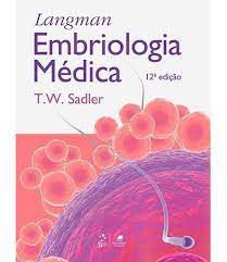 Livro Langman, Embriologia Médica Autor Sadler, T.w. (2013) [usado]