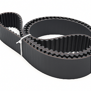 CORREIA HTD 50MM 8M-856 HTP HTD - REXON