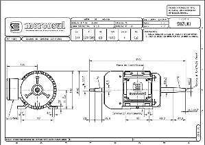 Motor 3/4 trifasico duplo eixo