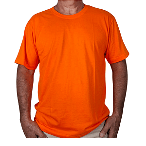 Camiseta Malha Fria PV Cenoura