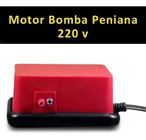 Motor Para Bomba Peniana Konder 220v