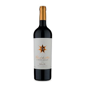 Vinho Clos De Los Siete By Michel Rolland - Gran Madero