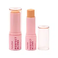 Base Stick Perfect Blend - FS30 Ruby Rose