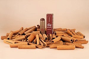 Blush Stick Cinnamon - Vizzela