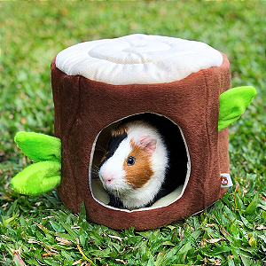 Kit do Timão e Pumba • (5 peças - Rei Leão) - Guinea Pig Props