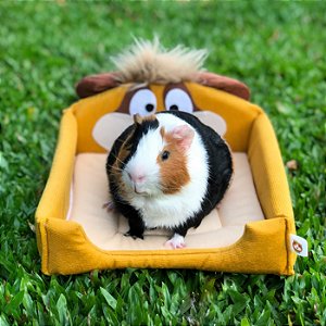 Kit do Timão e Pumba • (5 peças - Rei Leão) - Guinea Pig Props