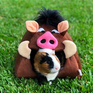 Kit do Timão e Pumba • (5 peças - Rei Leão) - Guinea Pig Props