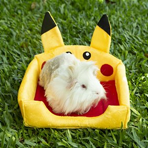 Caminha • Pikachu (Pokémon)