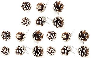 Kit Pinha Natural de Natal Branca Nevada 4cm 18 Peças