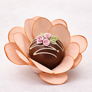 Kit 25 forminhas Bela Papel - Nude