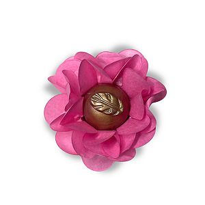 Kit 25 Forminhas Lunari  Papel - Goiaba