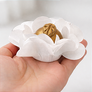 Forminha Delicatta Papel - Branca (Sem fundo verde)