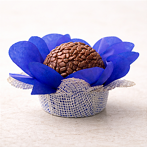 Forminha Lunita - Papel com tela - Azul royal