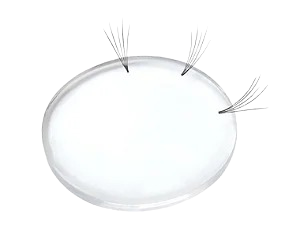 Disco de Silicone