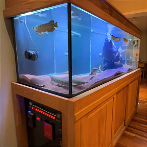 Aquario com Movel de Madeira Rustica