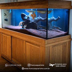 Aquario com Movel de Madeira Rustica