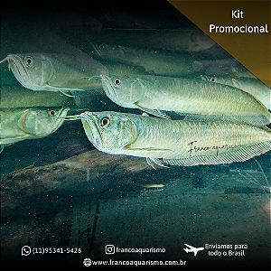 KIT - 3 Aruanãs Prata 12-16cm