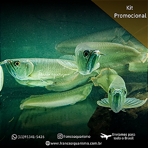 KIT - 3 Aruanãs Prata 25-30cm