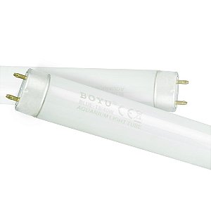 Lâmpada Fluoresc Boyu / Fsl T8 10W Rosa