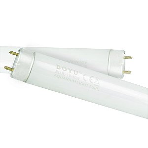 Lâmpada Fluoresc Boyu Pl 9W Branca (2 Pinos)