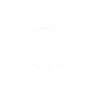O-ring Red Sea ID31X3 H70 Branco
