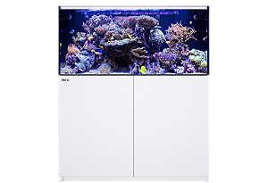 RESERVATORIO P/ AQUARIO RED SEA REEFER 425/525