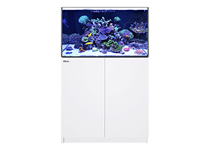 TUBO DE CAIDA DE AGUA DOWNPIPE COM REGISTRO RED SEA REEFER 250 - 525