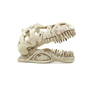 Enfeite de Resina Soma Esqueleto Cabeca de Tiranossauro Rex Pq