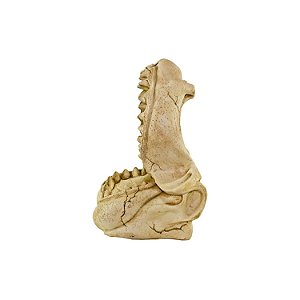 Enfeite de Resina Soma Esqueleto Mandibula de Tubarao Gr