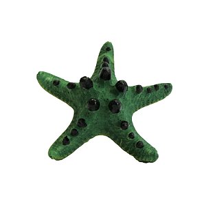 Enfeite de Resina Soma Invertebrado Estrela Spotted Verde
