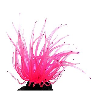 Enfeite de Silicone Soma anêmona Long Tentacle Rosa